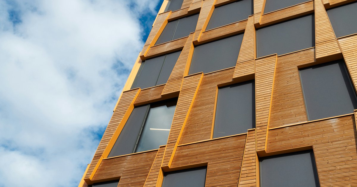 Holz für Holzfassade: Sorten und Eigenschaften