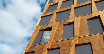 Holz für Holzfassade: Sorten und Eigenschaften
