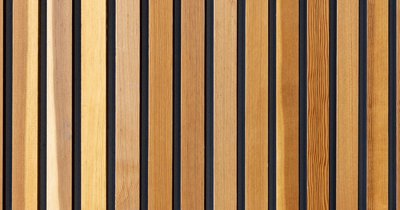Holzfassade Holz: Auswahl und Behandlung