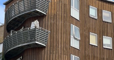 Holzfassade vertikal: Arten und Aufbau