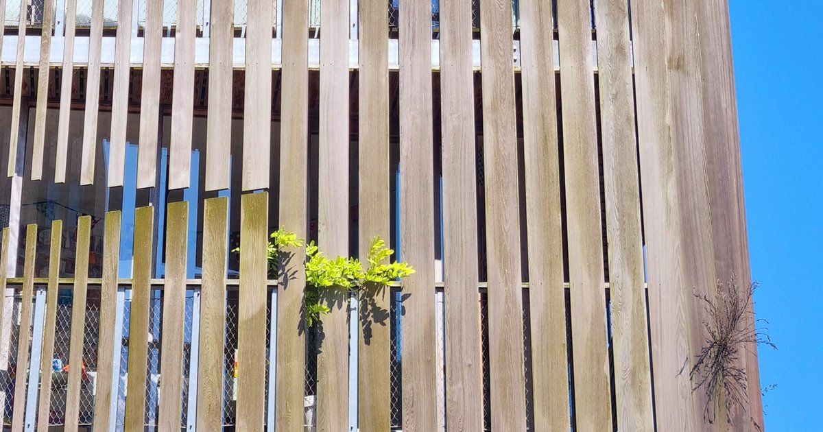 Holzfassade verkleiden: Anleitung