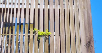Holzfassade verkleiden: Anleitung