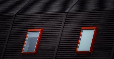 Dunkle Holzfassade: Farben und Gestaltung